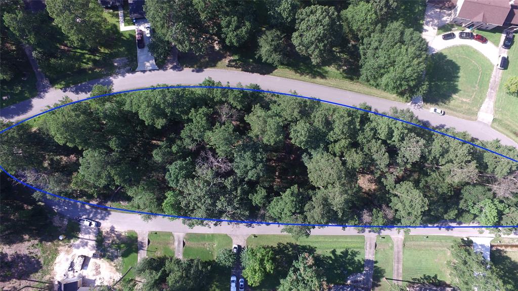 a view of a park with large trees