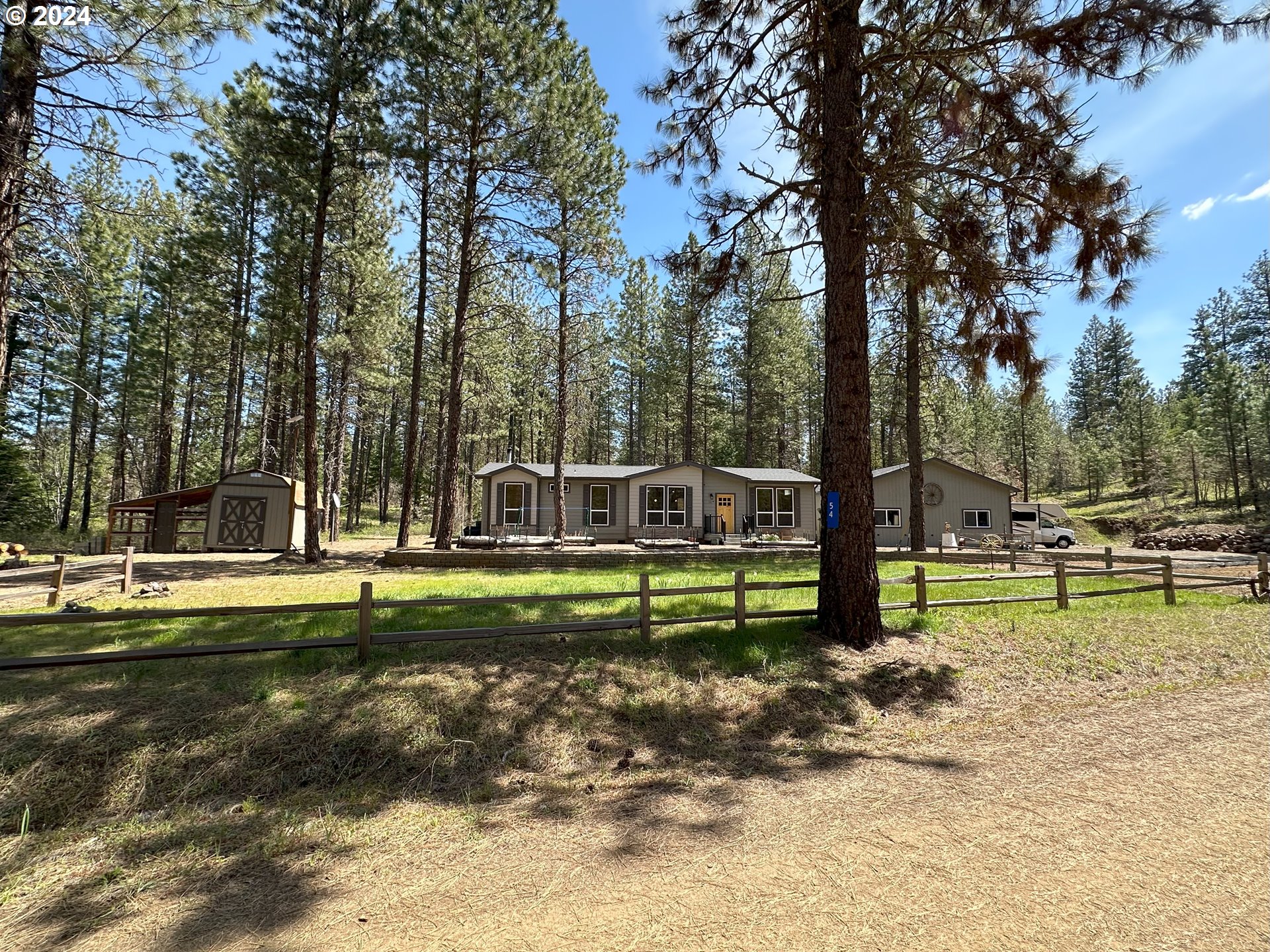 a view of a park with large trees