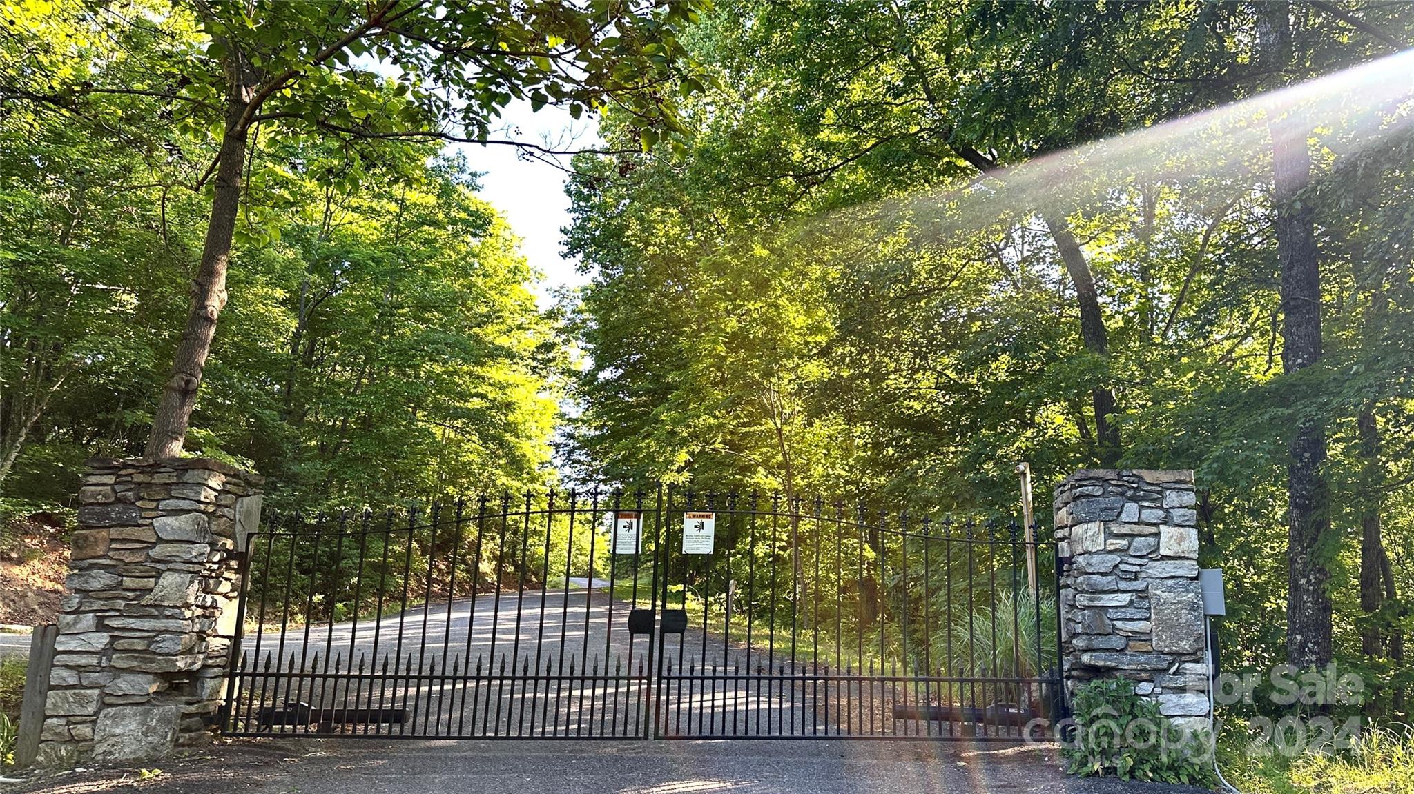 a view of a large yard with plants and large trees