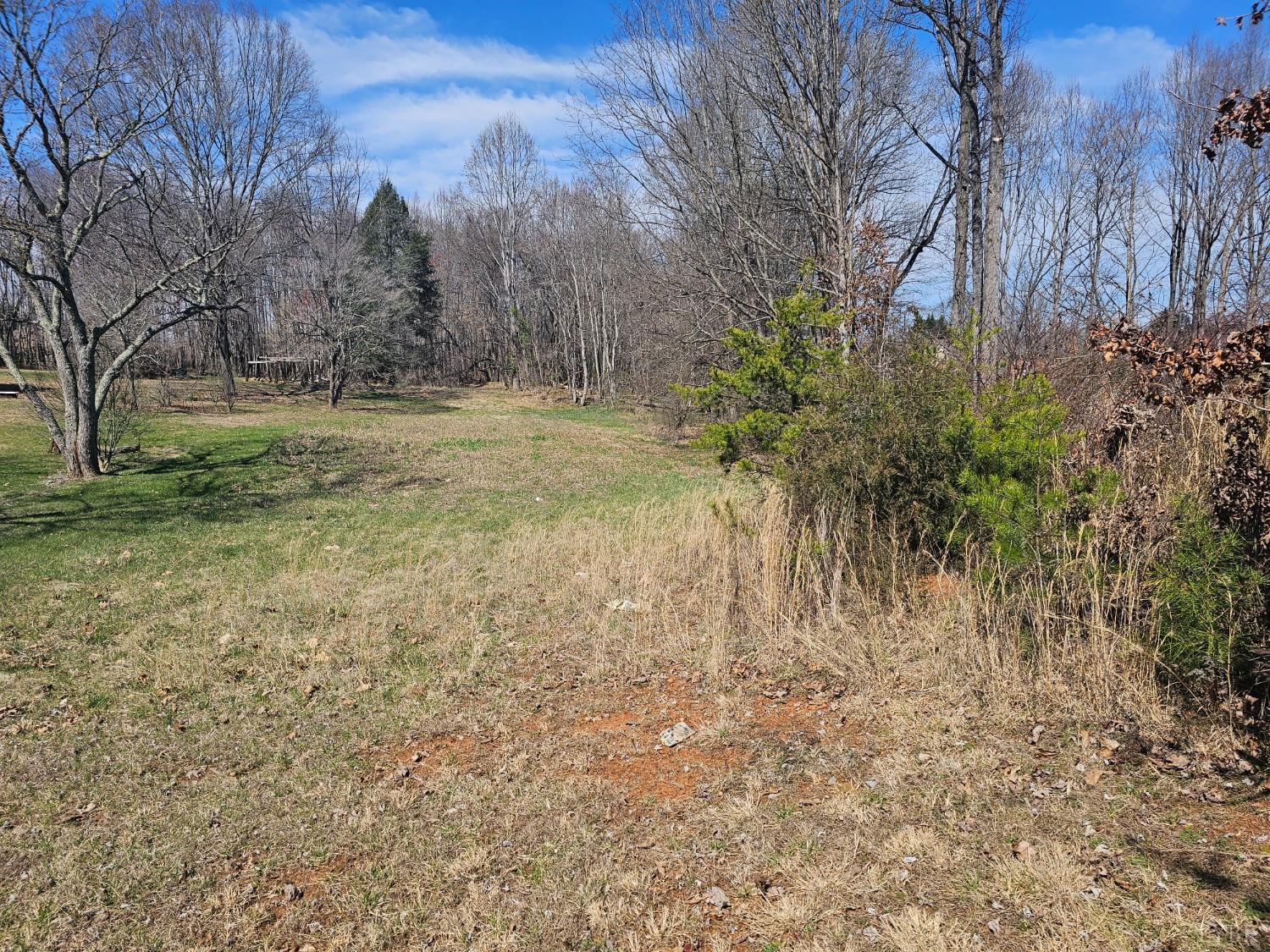 a view of a yard with trees