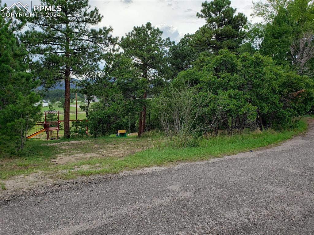 a view of outdoor space with trees all around