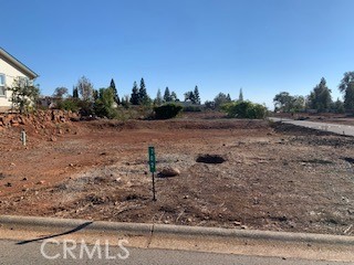 a view of a dry yard with trees