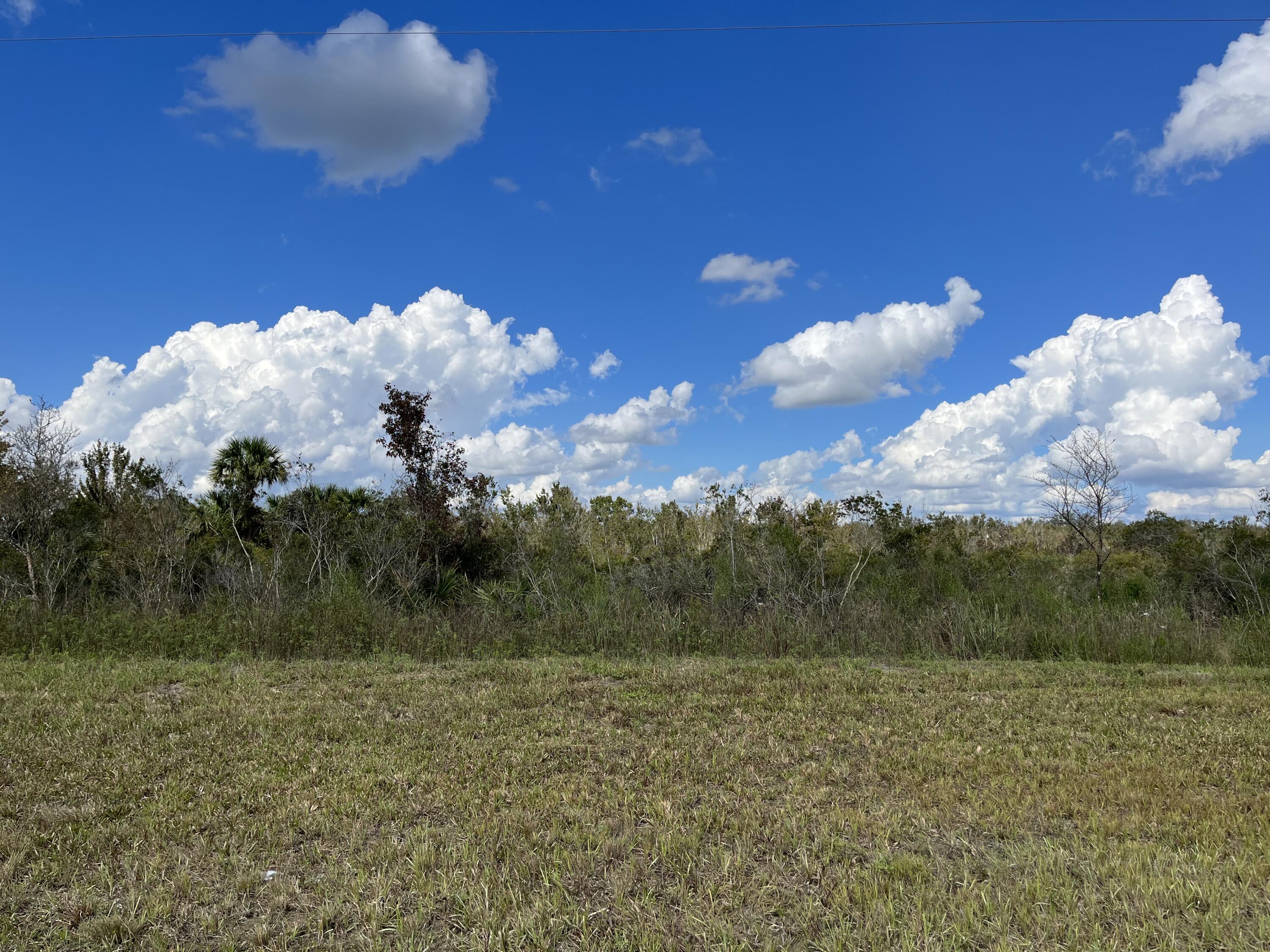 a view of a big yard