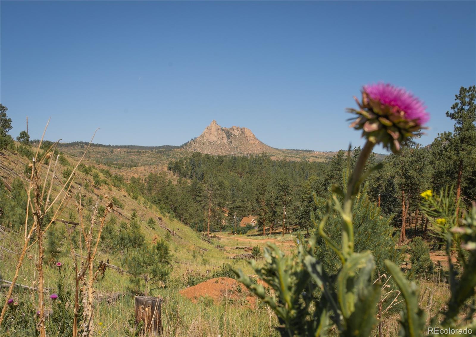 a view of a mountain