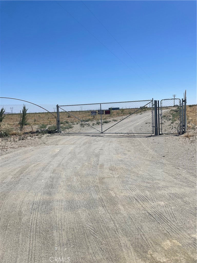 a view of a dry yard with a road