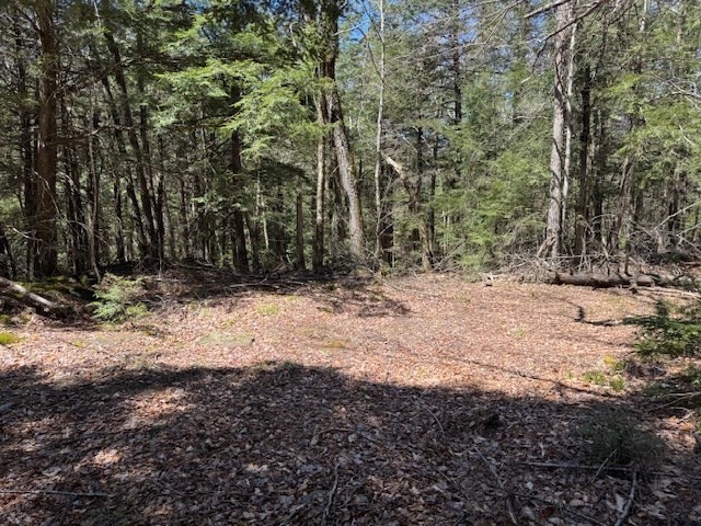 a view of dirt yard