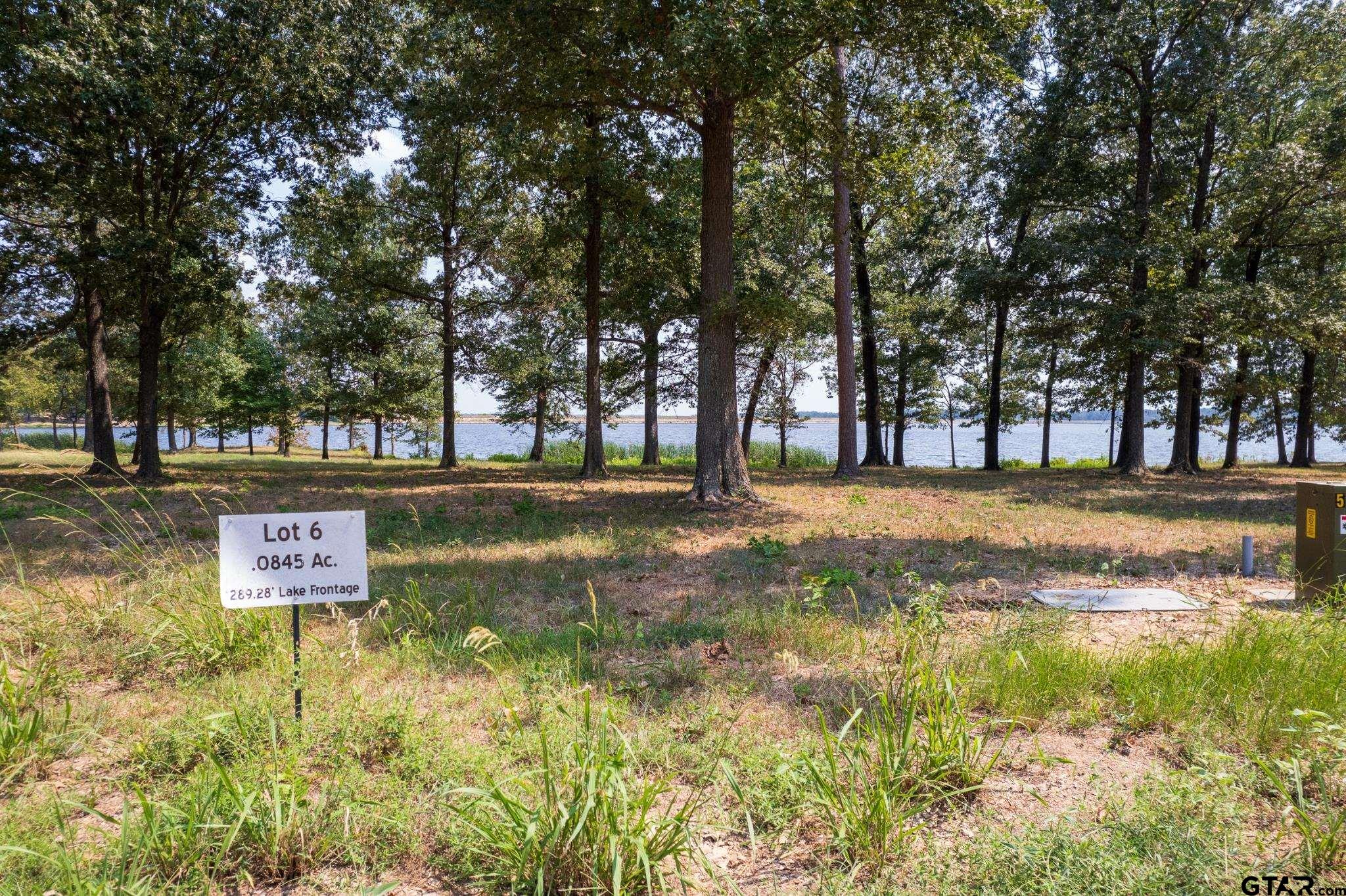 a view of swimming pool with trees and green space