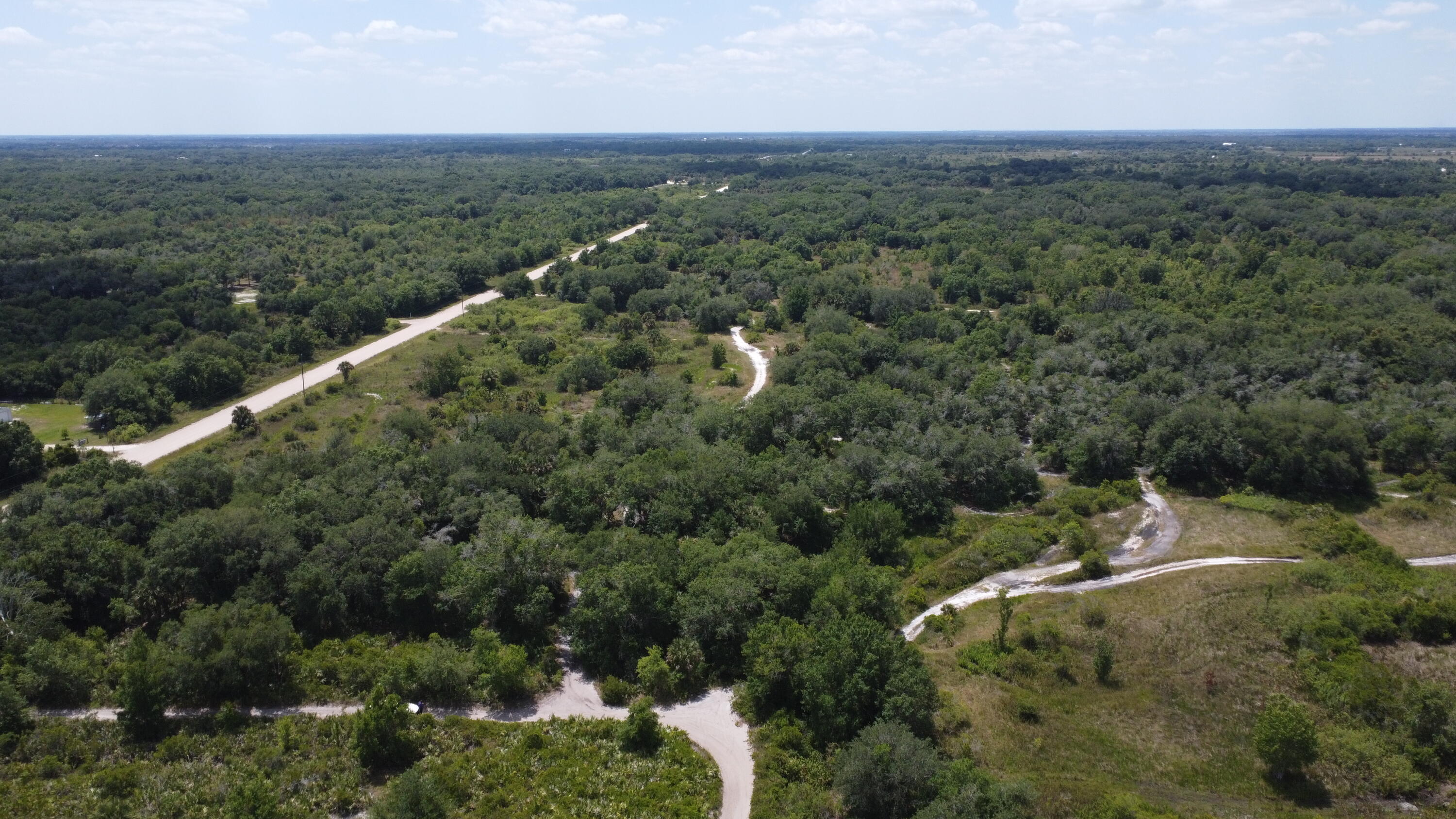 an aerial view of forest