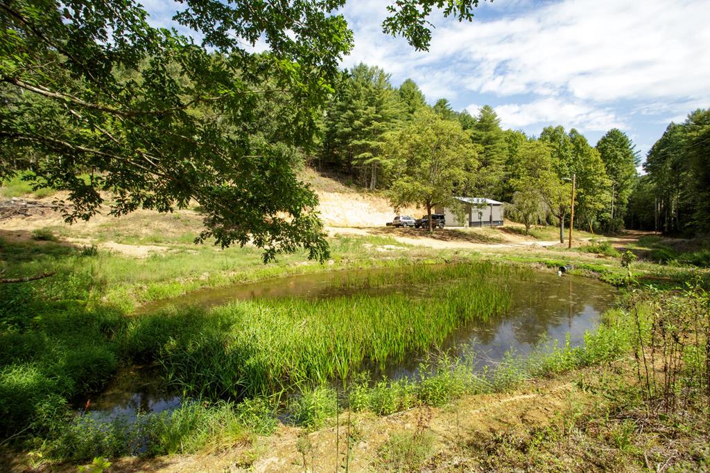 a view of a water pond with green space