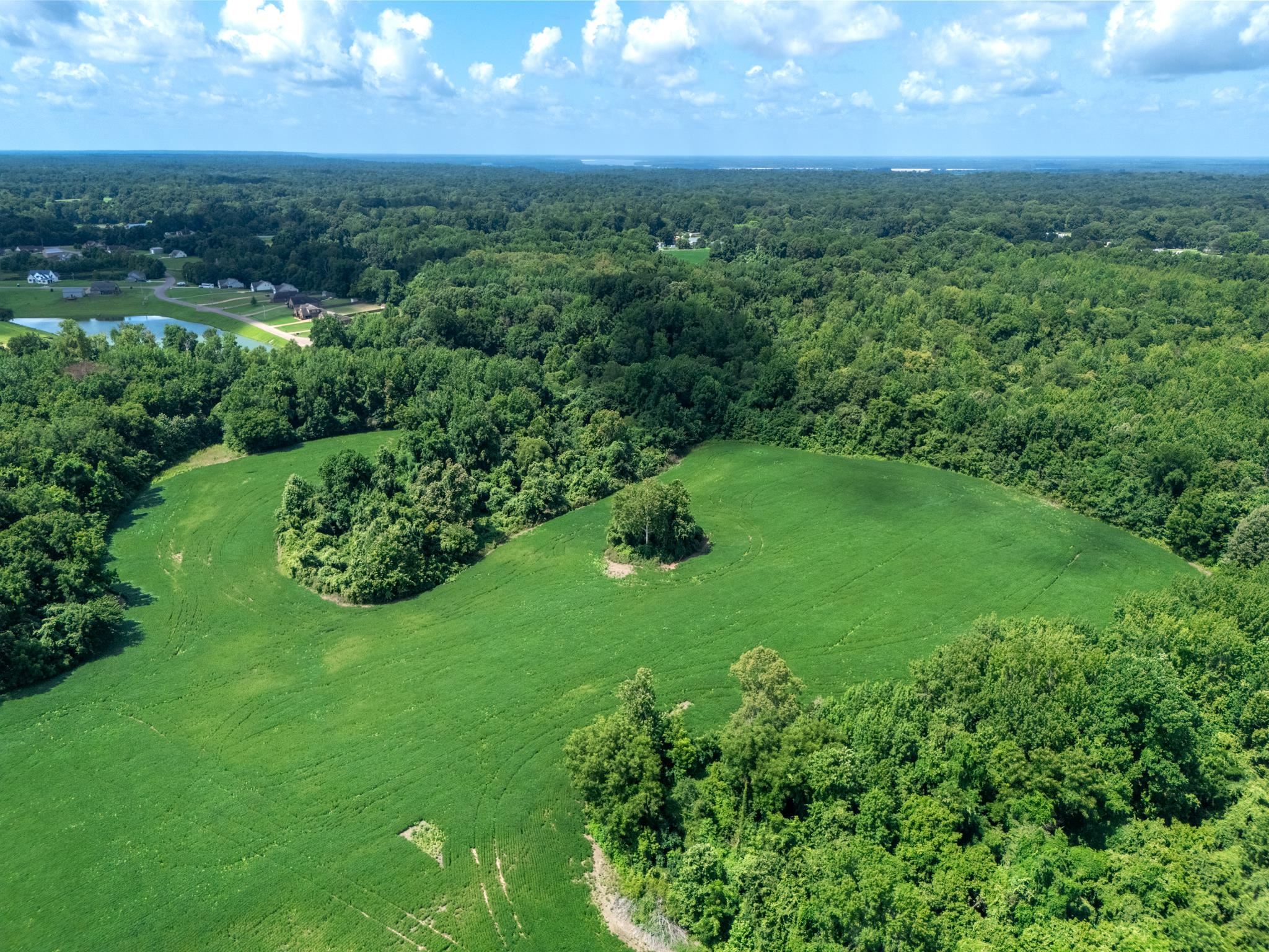 an aerial view of green landscape with trees houses and mountain view