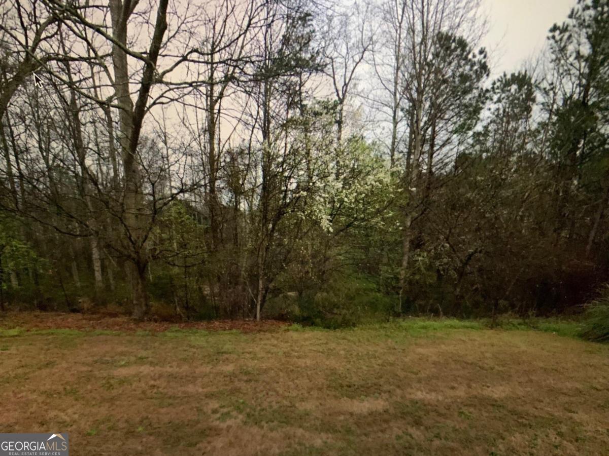 a backyard of a house with trees