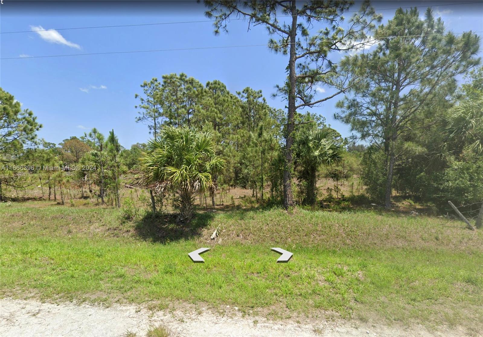 a view of a trees with a yard