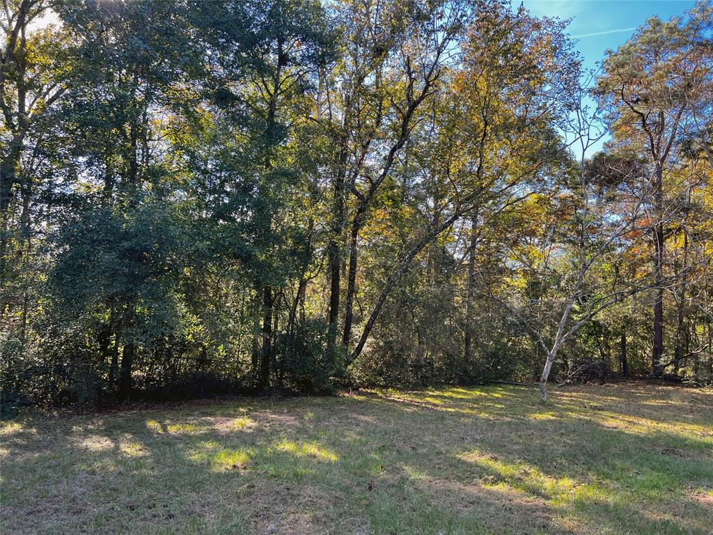 a view of a yard with a trees