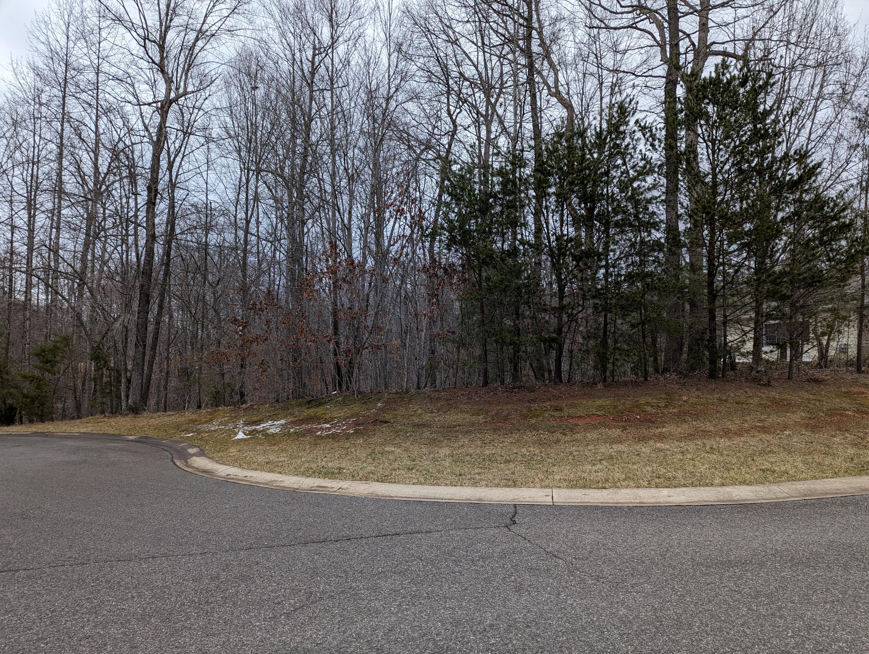 a view of outdoor space with trees