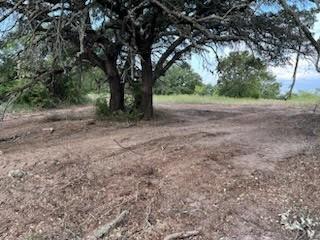 a view of a yard with a tree