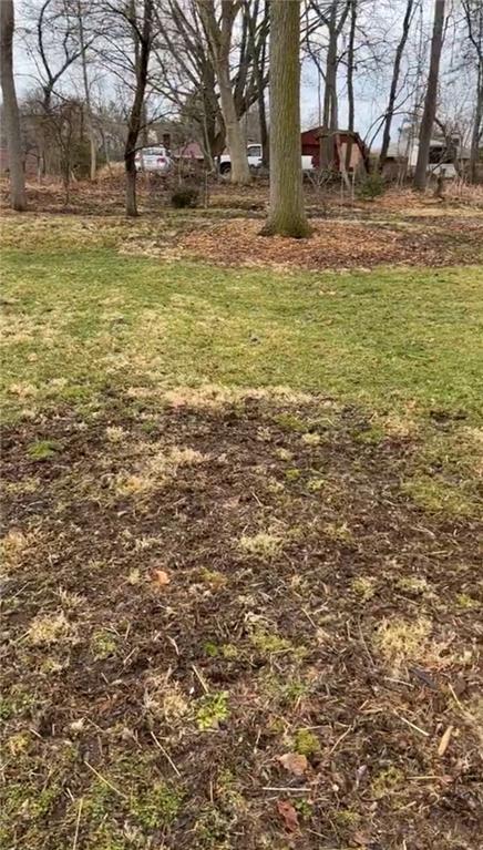 a view of a yard with a tree