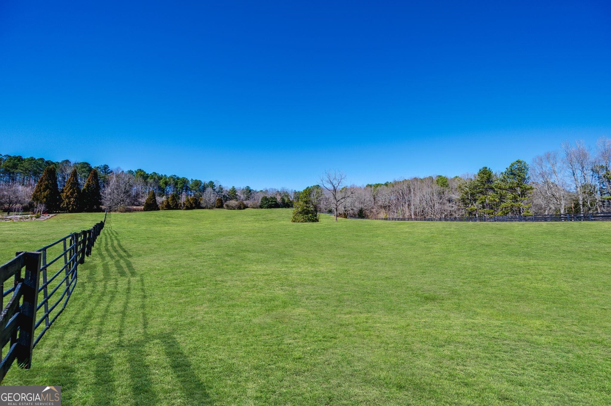 a view of field with grass and trees