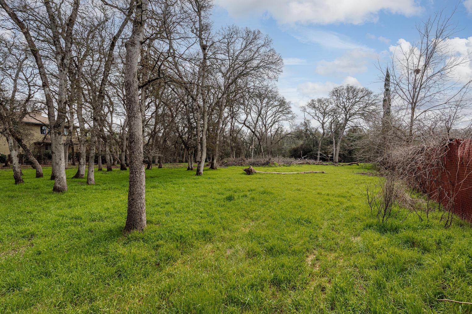 a view of green field with trees