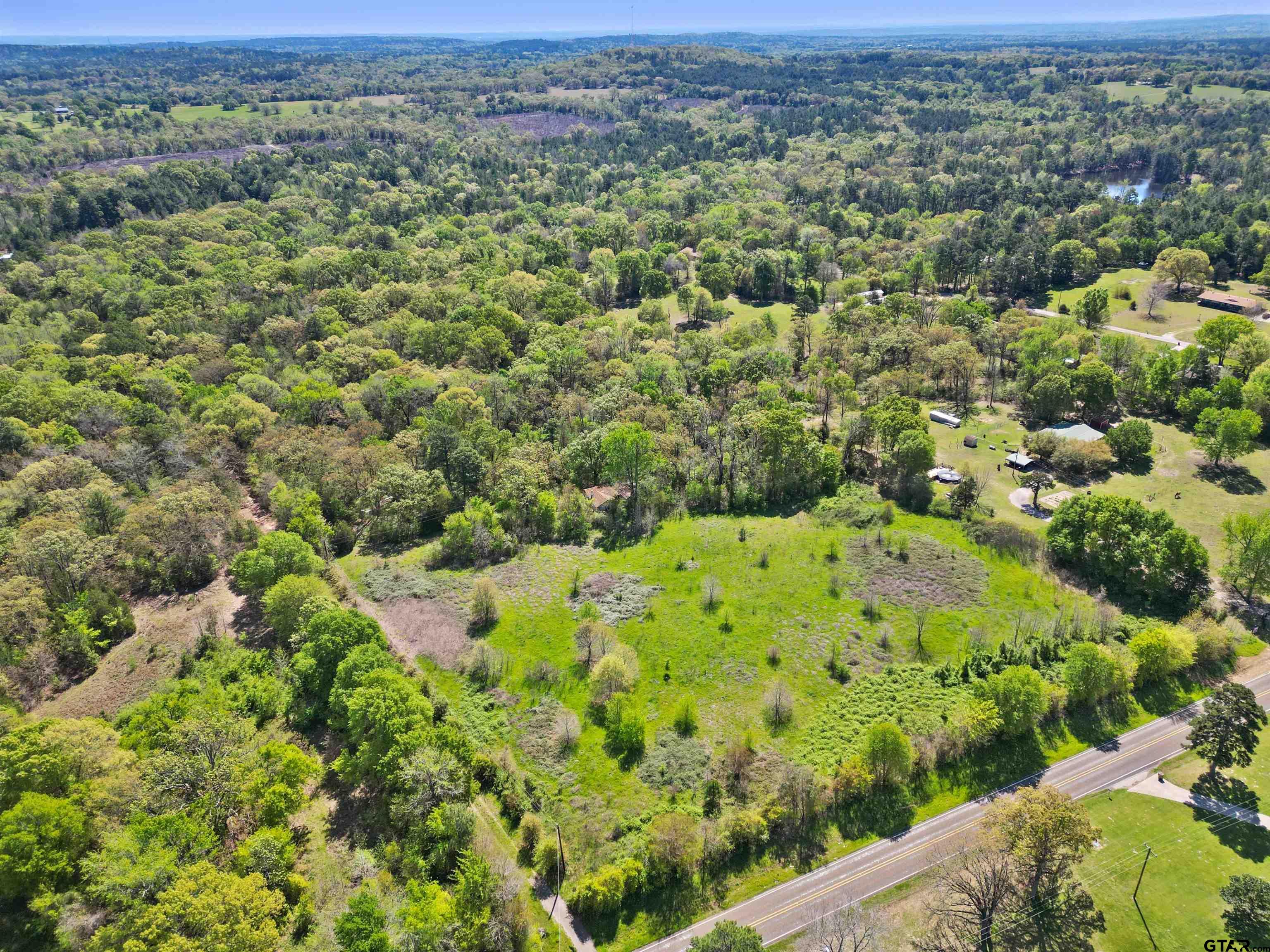 view of a green field