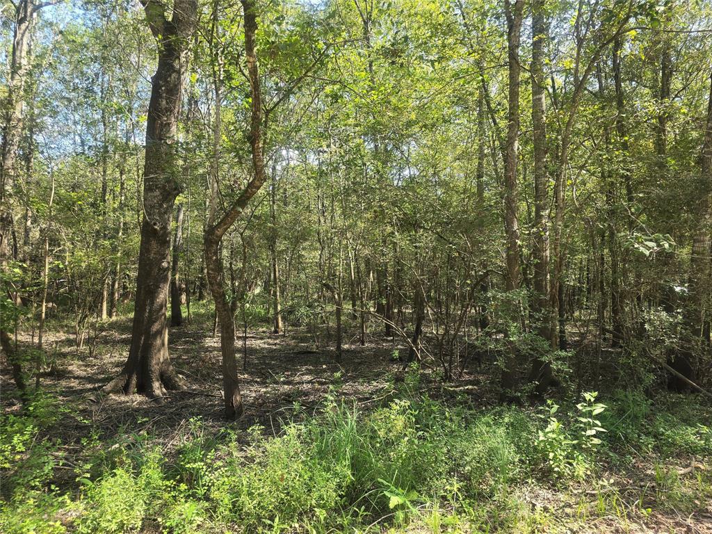 a view of outdoor space and green space