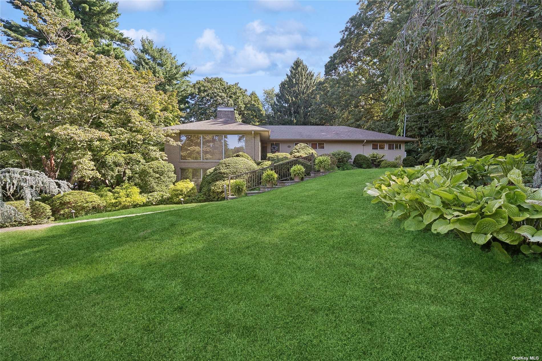 a view of a backyard with plants and large trees