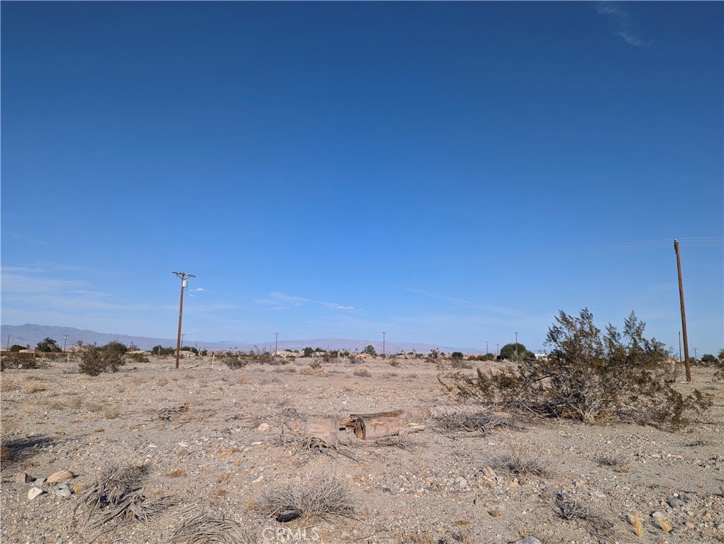 a view of a dry yard