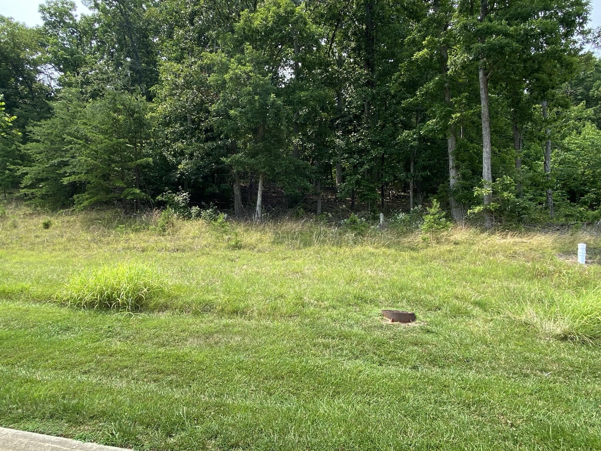 a view of backyard with green space