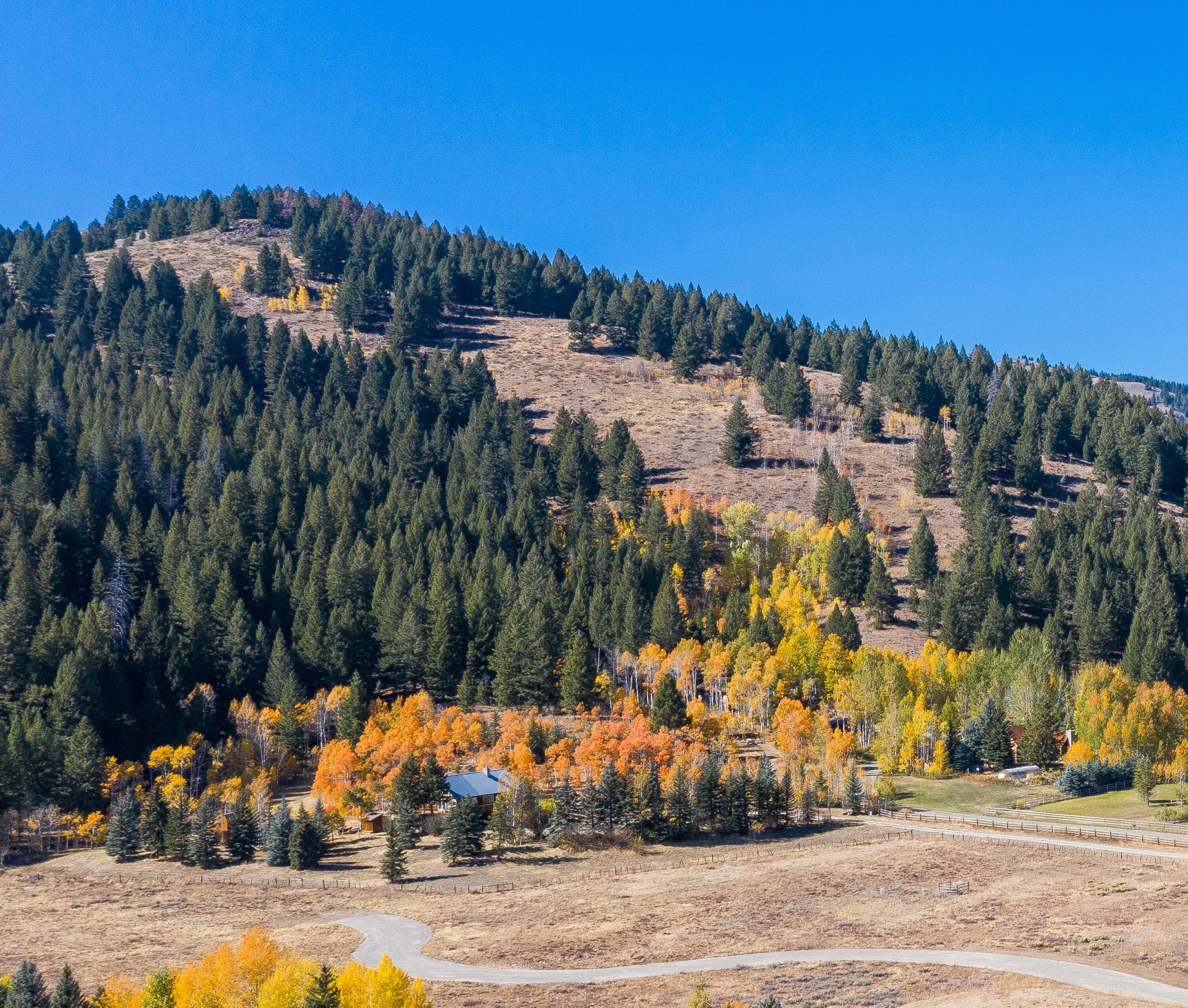 North Ketchum in the Fall