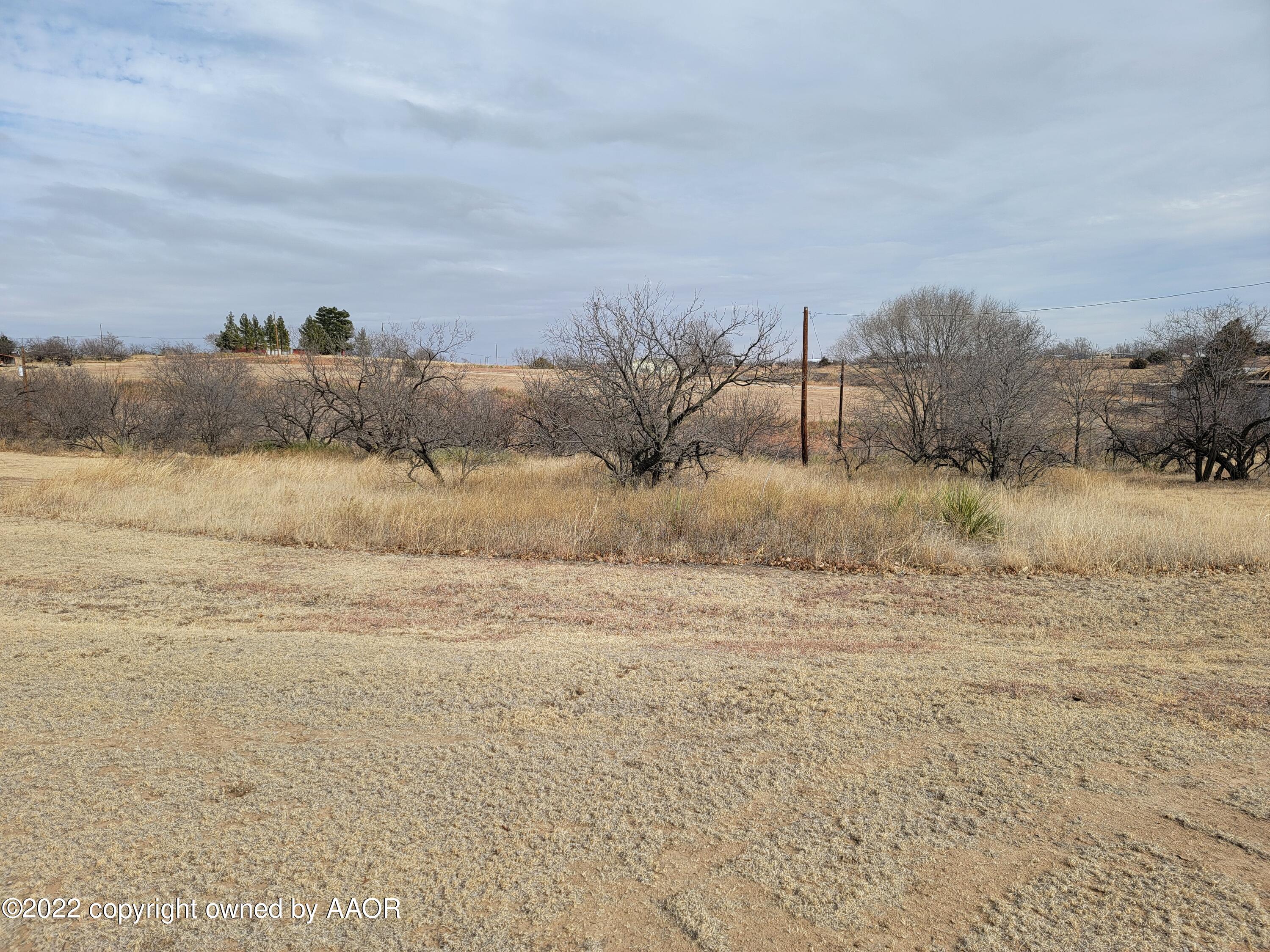 a view of a dry yard