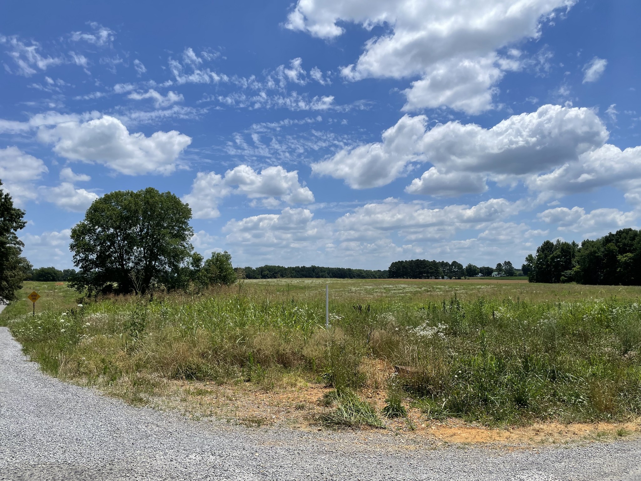 a view of a lake with a yard