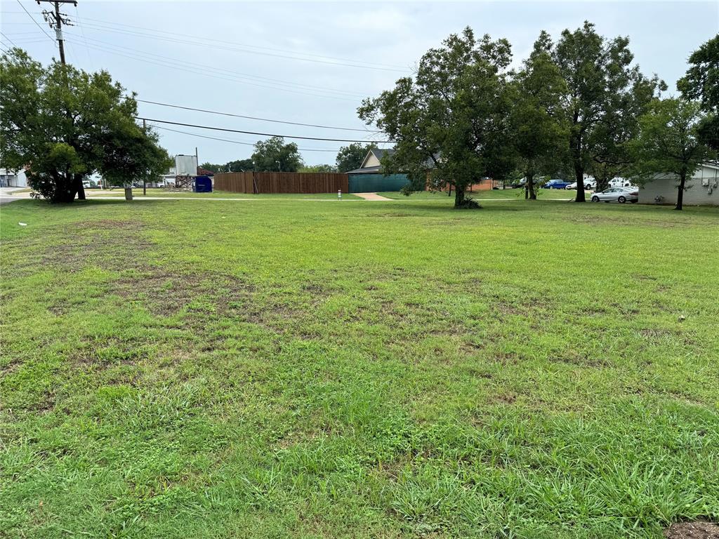 a view of a field with grass and trees