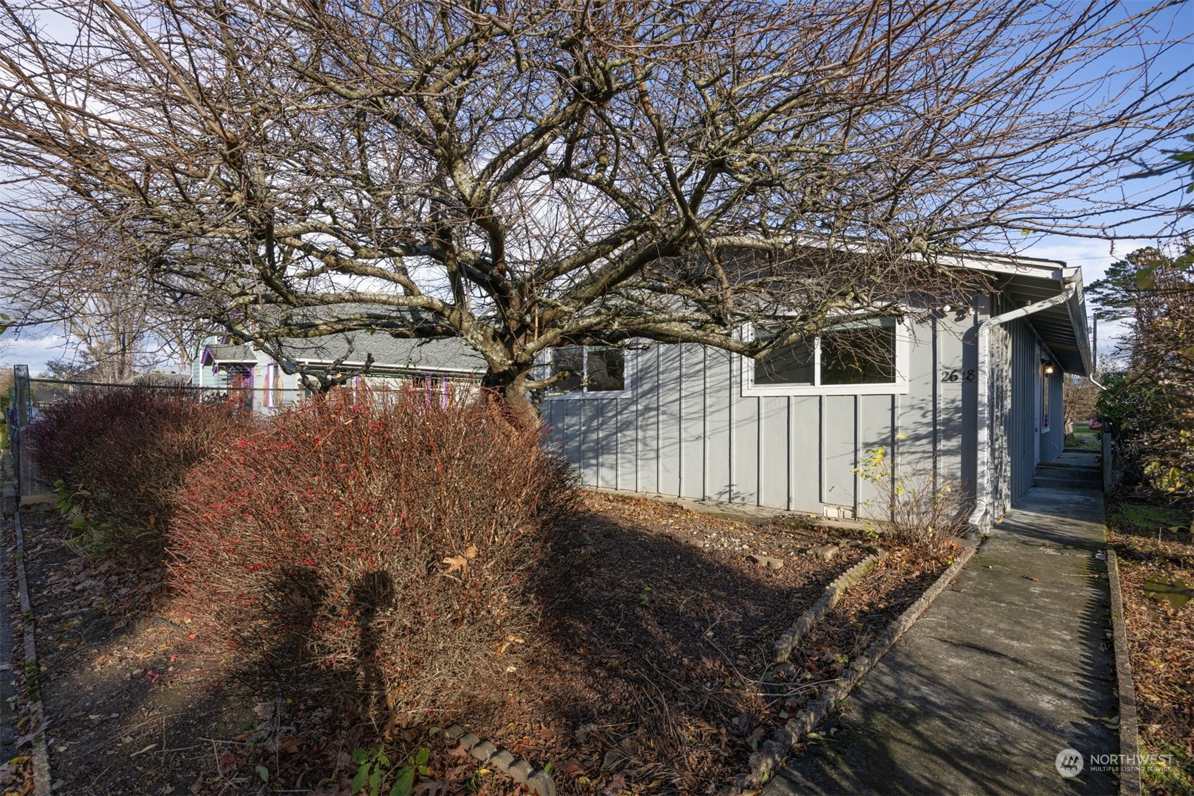 a view of a backyard