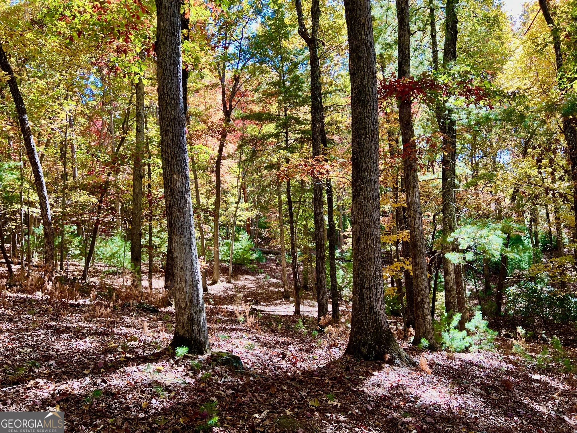 a view of outdoor space