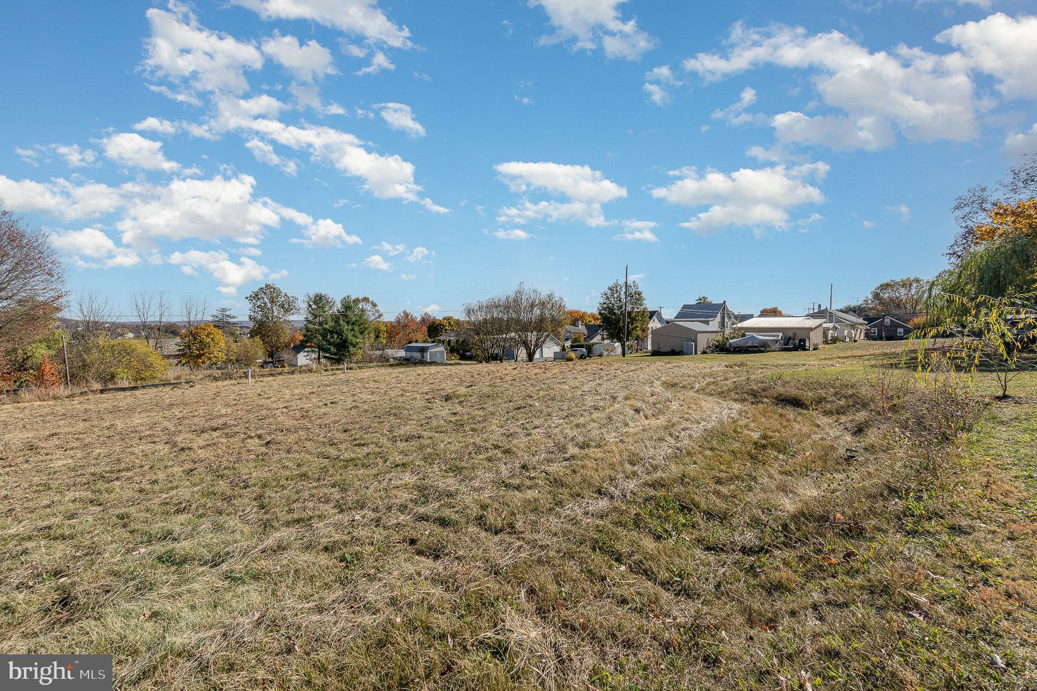 a view of a dry yard with lots of trees