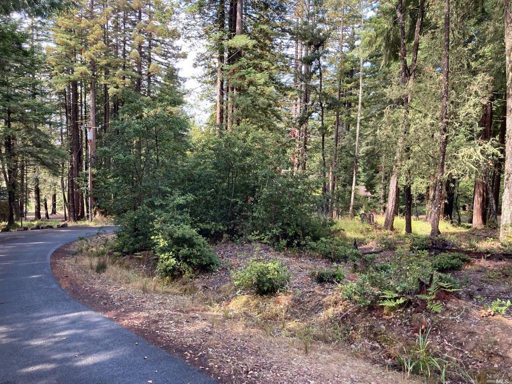 GORGEOUS SONOMA COAST BUILDING LOT!!  Magical Redwood Groves and Sunny Meadows, easily accessed from a private paved lane, just above Highway 1. Minutes from World Class Dining, Hiking, Parks and Beaches. 1 hour to Sonoma County Airport. Located in what has to be the Sweet Spot of Coastal Weather! PG&E at the property corner, Water meter installed and a great Septic Report on file, a nice-complete package for a someone seeking a great investment building parcel.... Over 2 acres of gentle. easily accessed Sonoma Coast land, with all of the ingredients to make your Coastal Dreams a Reality.Claim your piece of Sonoma Coast Beauty! Please note photos taken prior to the Winter storms... Some 'wind-throws' onsite. Use caution hiking the site.... Access trail roughed-in.