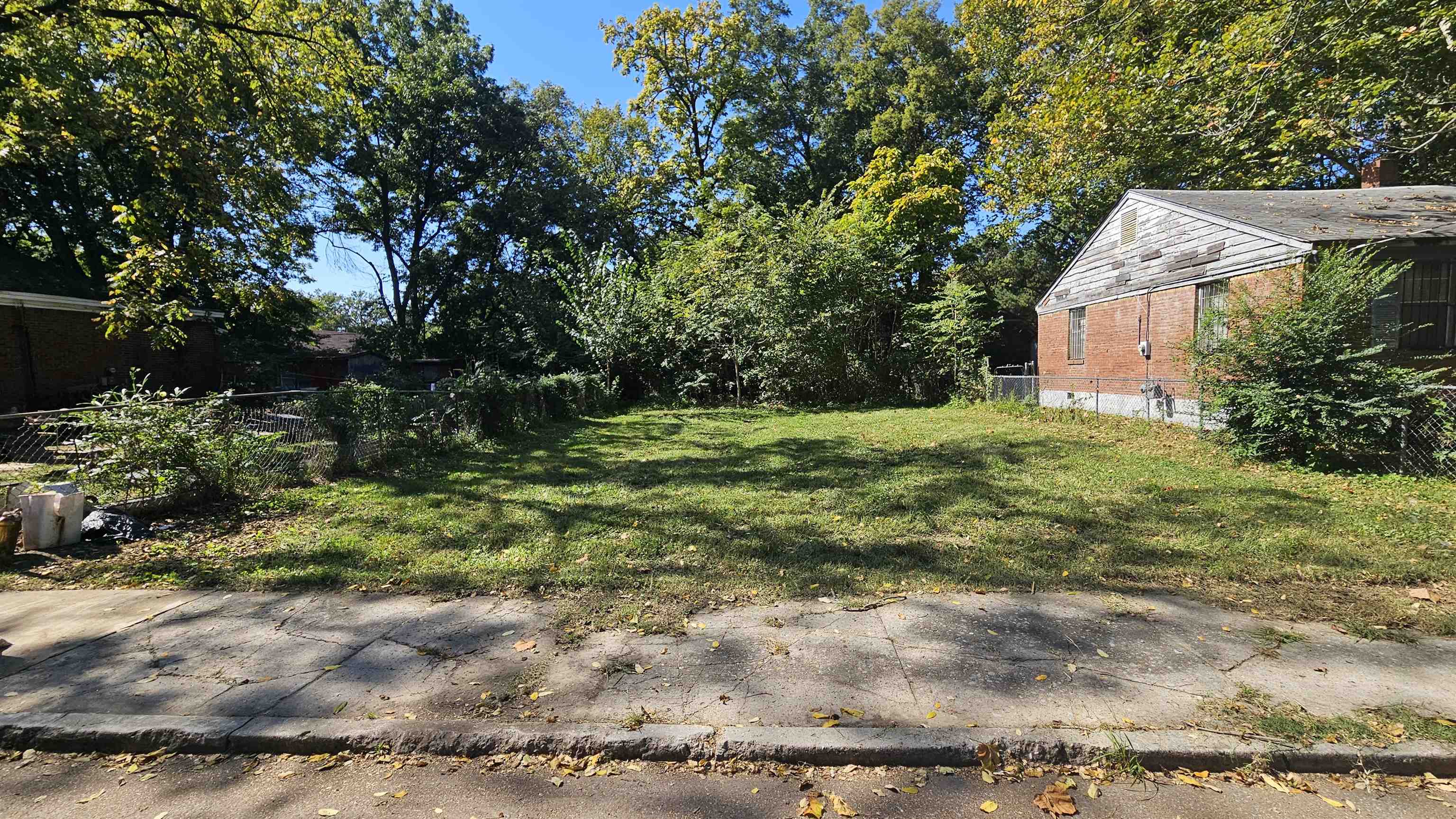 a view of a backyard with large trees