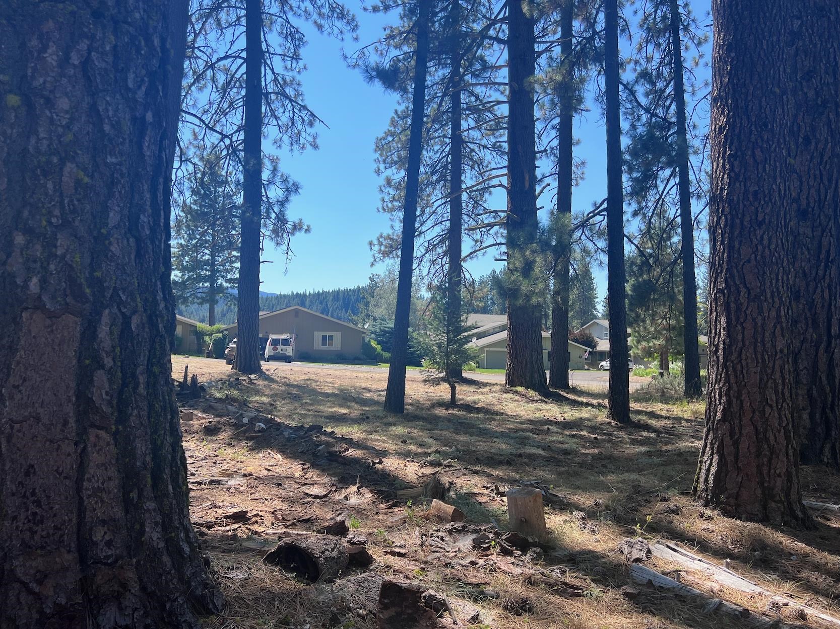 a view of a backyard of the house