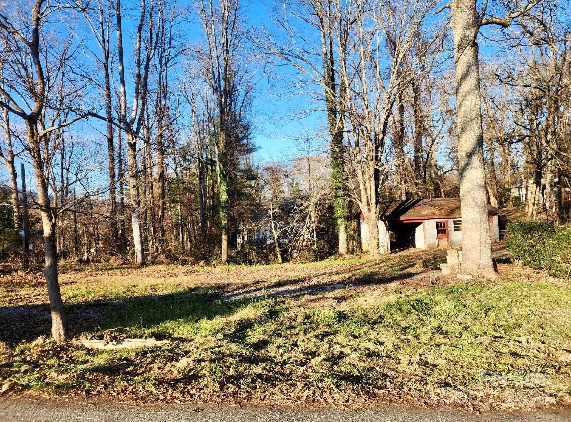 a view of a yard with large trees