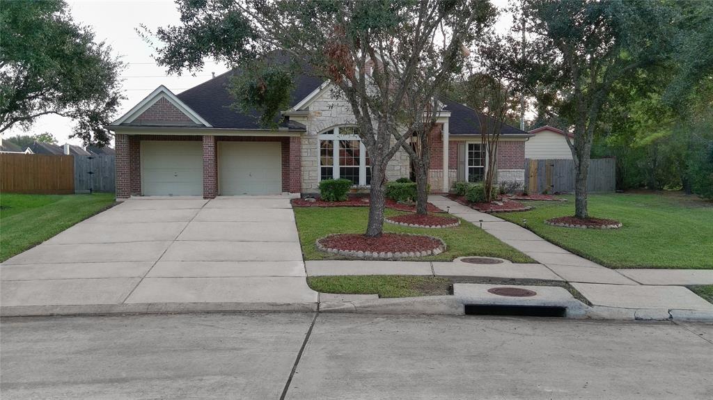 a view of a house with a yard plants and a large tree