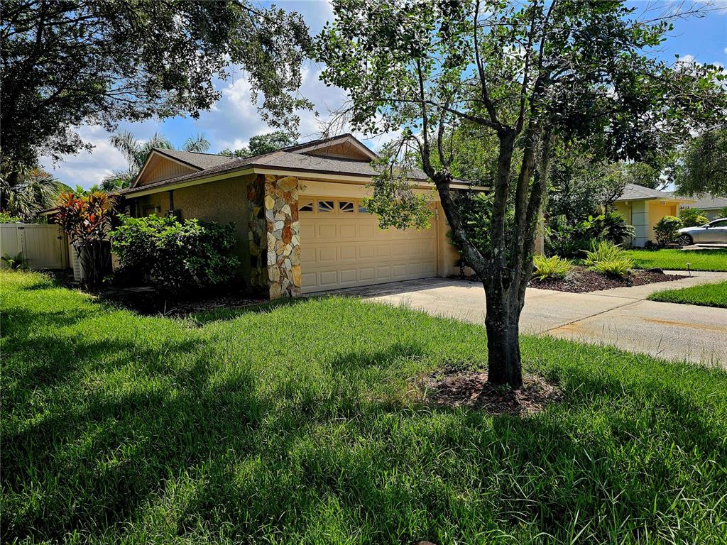 a view of a house with a tree and a yard