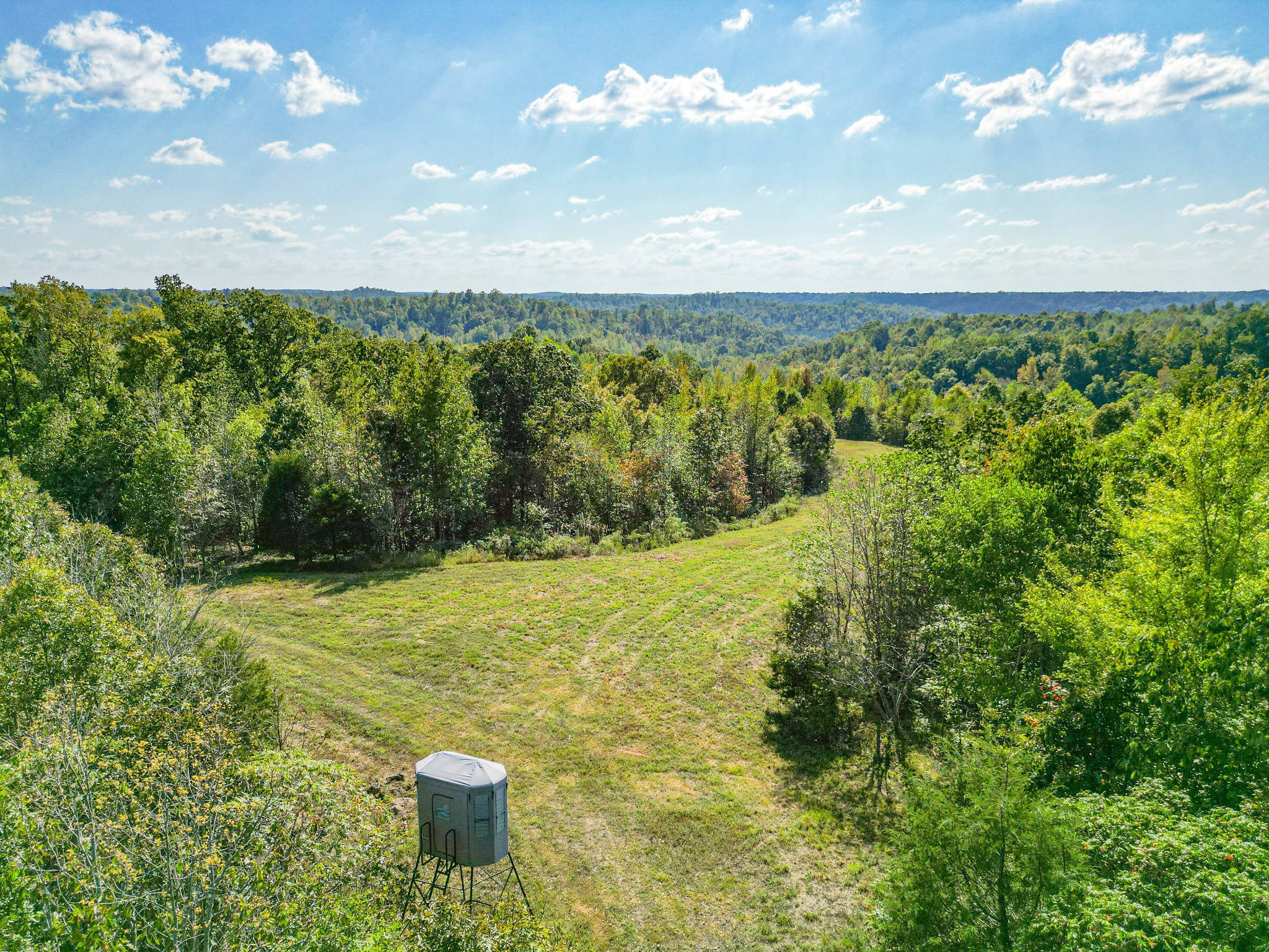 a view of a lake with a yard