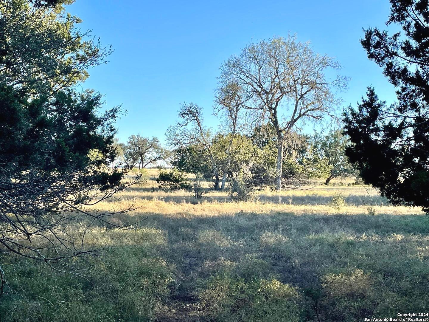 a view of back yard of the house