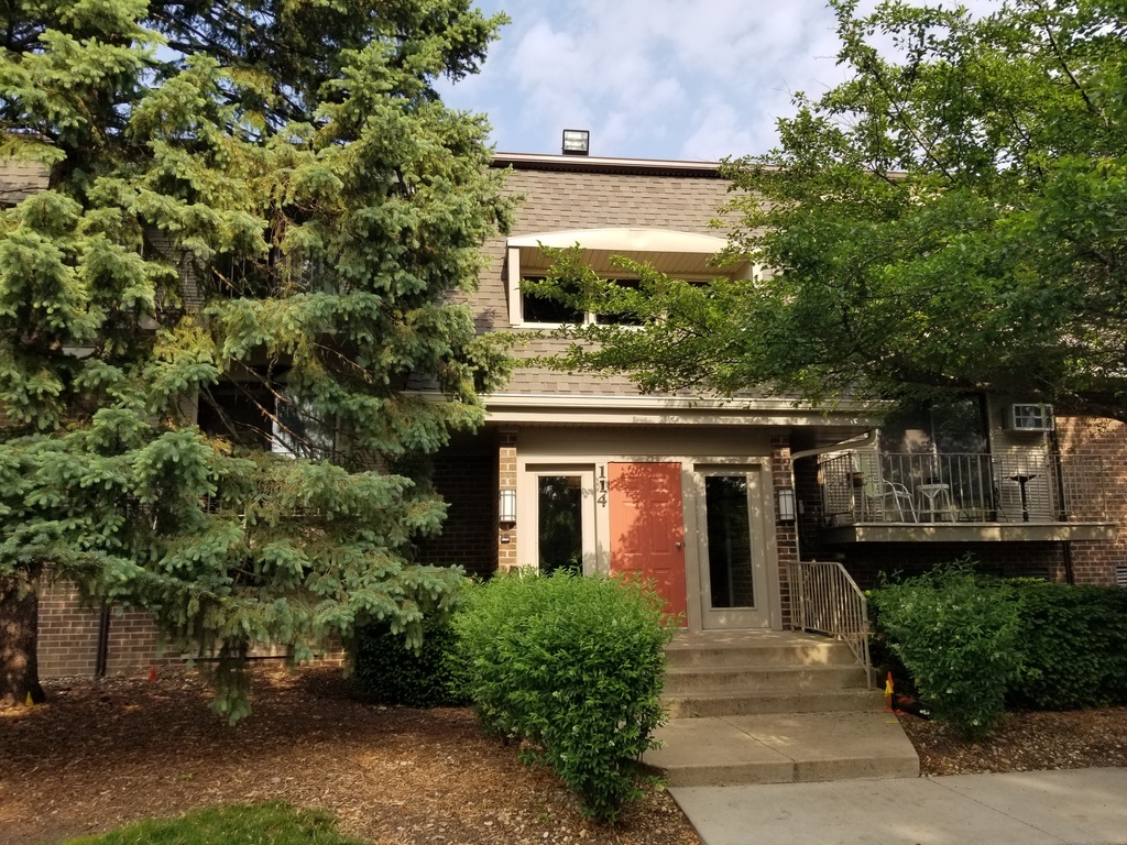 front view of a house with a tree