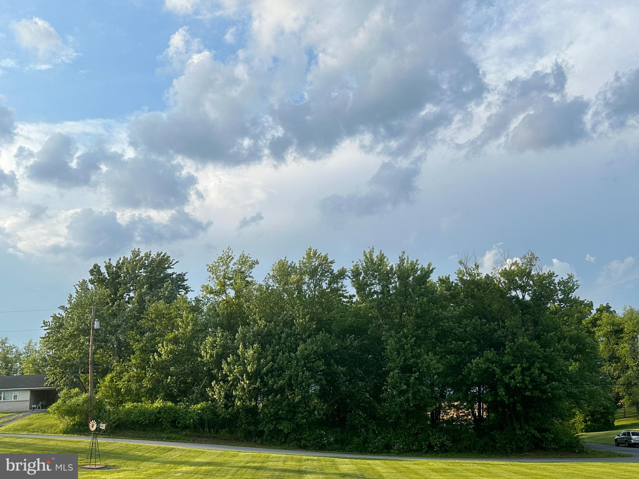 a view of a big yard with plants and large trees