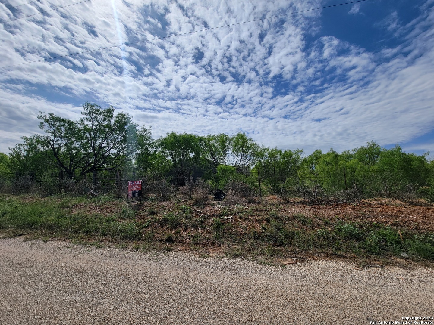 a view of a dry yard with trees