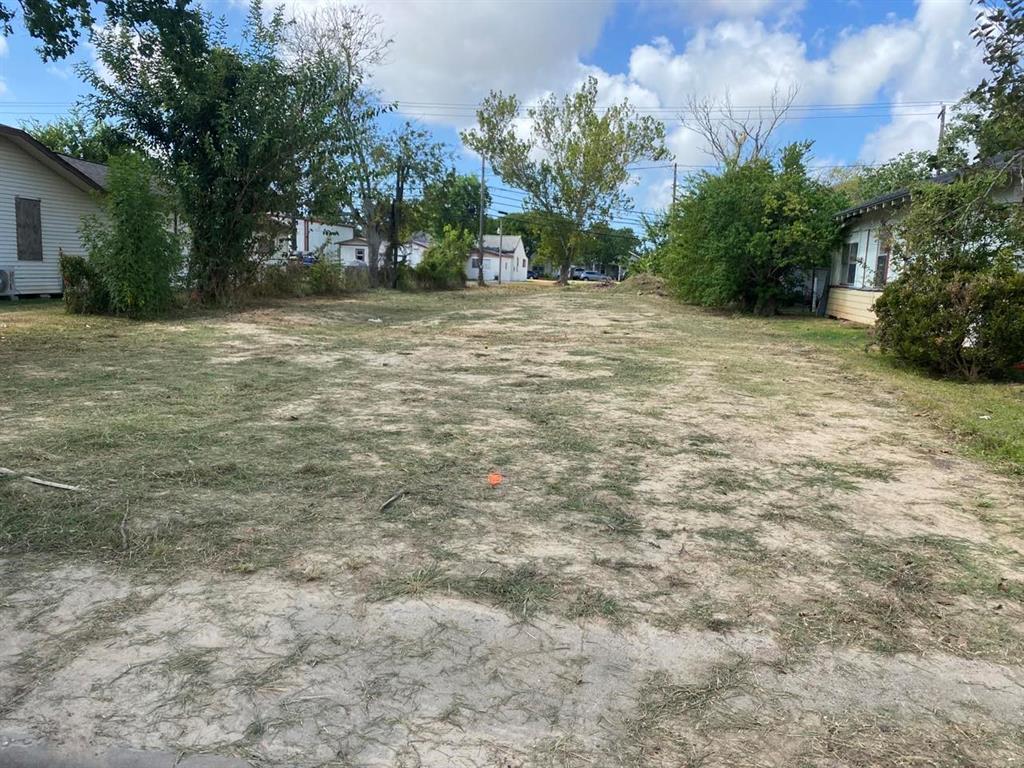 a view of a field with a tree