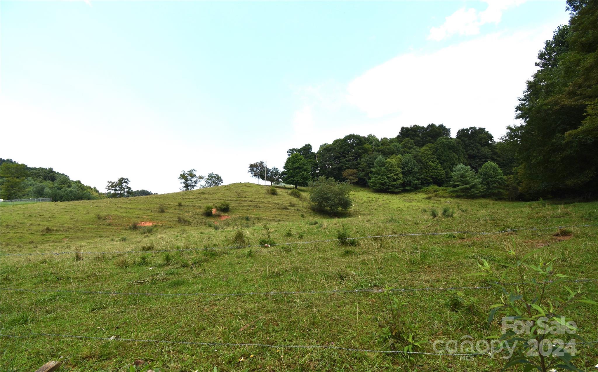 a view of a lush green space with sea