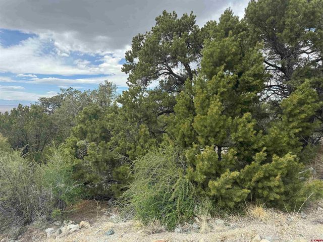 $19,000 | 338 Cedar Ridge Road | Mosca-Hooper