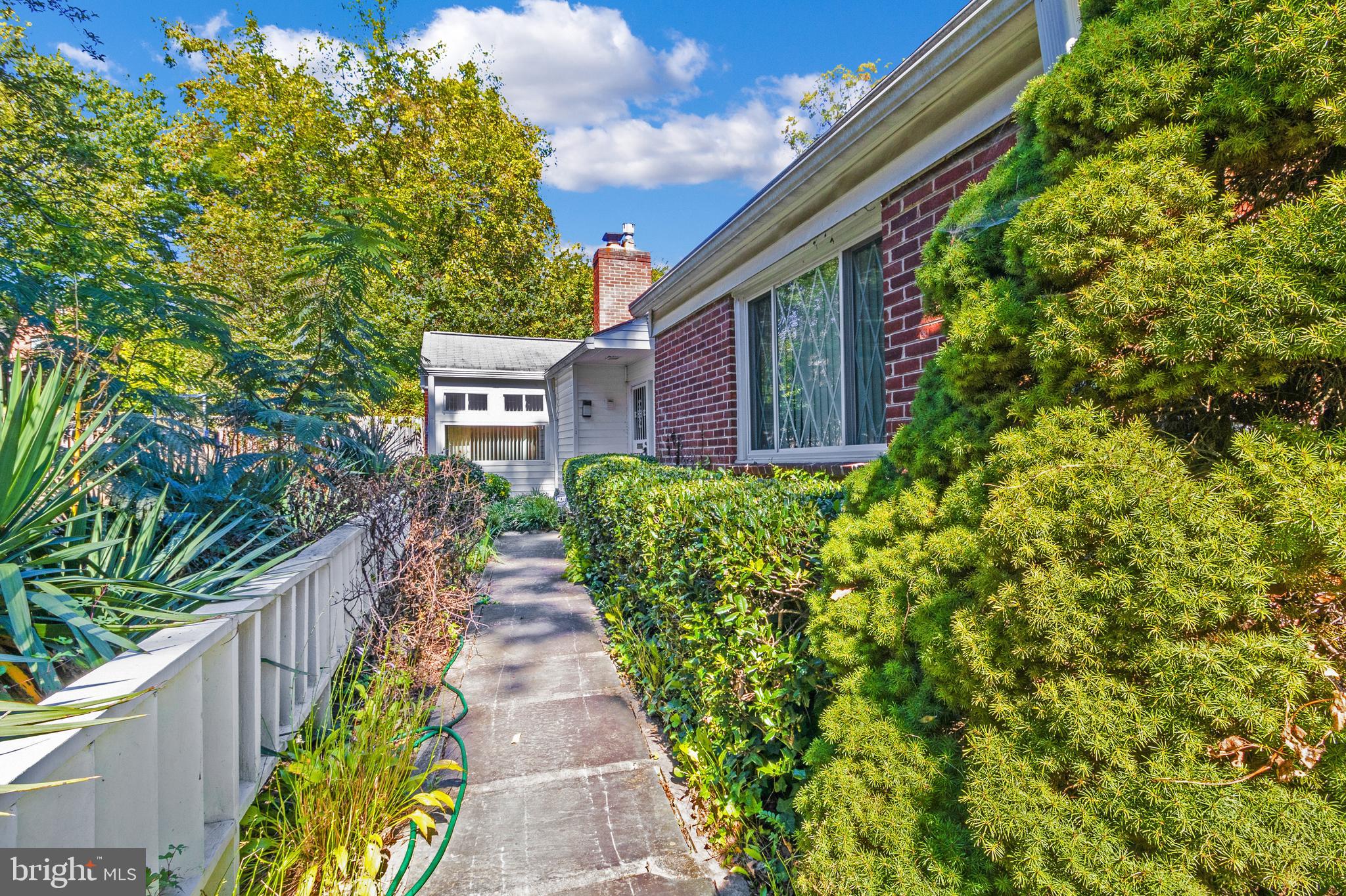 a view of a pathway with plants