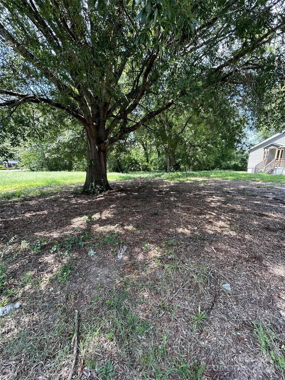 a view of a tree in the middle of a yard